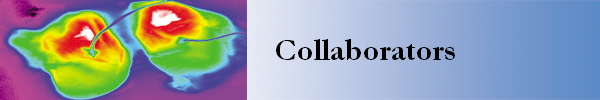 Collaborators