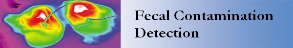Fecal Contamination
Detection