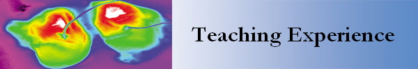 Teaching Experience