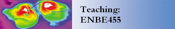Teaching:
ENBE455