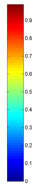 rad1c rad1c